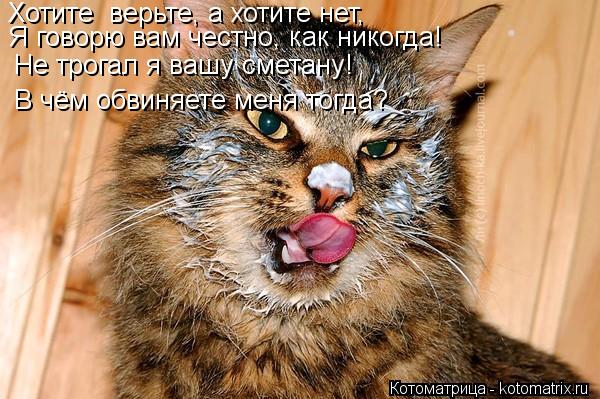 Хотите верьте, а хотите нет, Я говорю вам честно, как никогда! Не трогал я вашу сметану! В чём обвин... Котоматрица: Хотите верьте, а хотите нет, Я говорю вам честно, как никогда! Не трогал я вашу сметану! В чём обвиняете меня тогда?