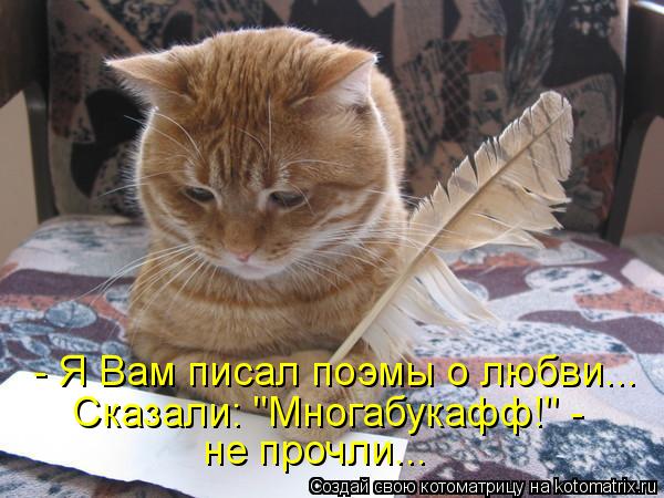 Котоматрица: - Я Вам писал поэмы о любви... Сказали: "Многабукафф!" -  не прочли...