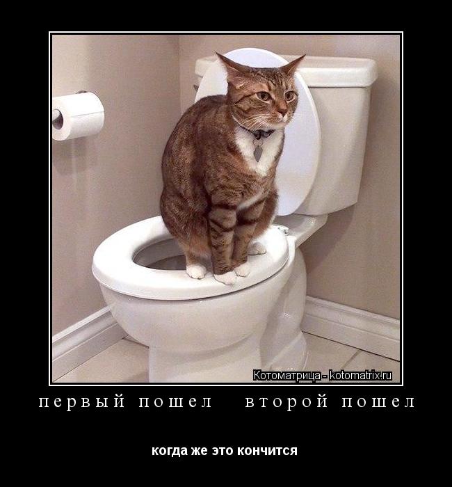 первый пошел второй пошел когда же это кончится ... Котоматрица: первый пошел второй пошел когда же это кончится