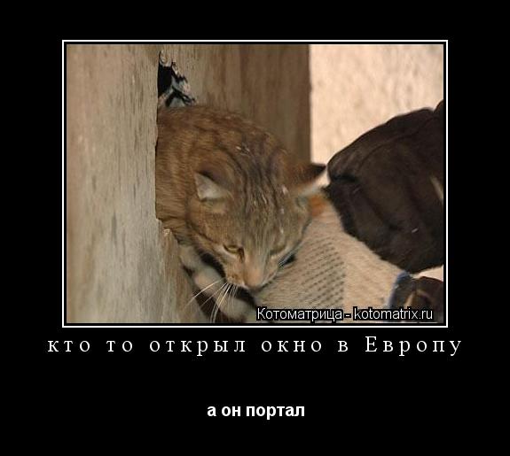 кто то открыл окно в Европу а он портал... Котоматрица: кто то открыл окно в Европу а он портал