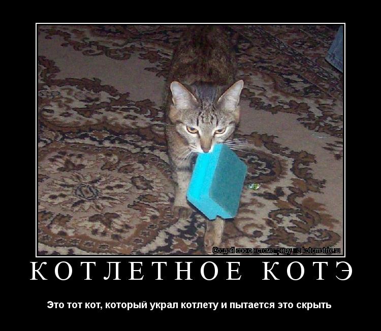 КОТЛЕТНОЕ КОТЭ Это тот кот, который украл котлету и пытается это скрыть ... Котоматрица: КОТЛЕТНОЕ КОТЭ Это тот кот, который украл котлету и пытается это скрыть