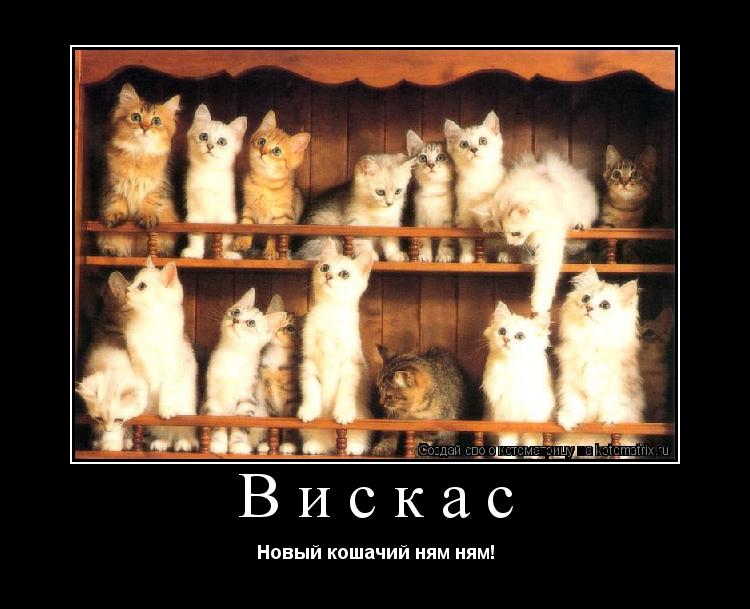 Вискас Новый кошачий ням ням!... Котоматрица: Вискас Новый кошачий ням ням!