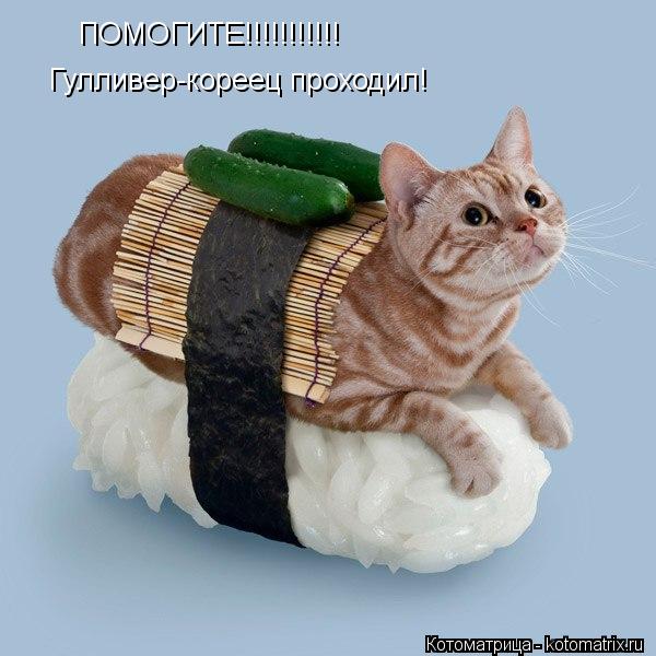ПОМОГИТЕ!!!!!!!!!!! Гулливер-кореец проходил!... Котоматрица: ПОМОГИТЕ!!!!!!!!!!! Гулливер-кореец проходил!