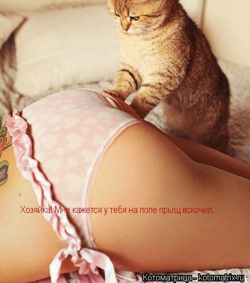 Хозяйка! Мне кажется у тебя на попе прыщ вскочил.... Котоматрица: Хозяйка! Мне кажется у тебя на попе прыщ вскочил.