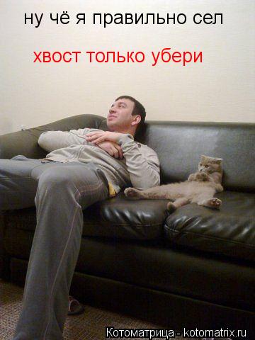 ну чё я правильно сел хвост только убери... Котоматрица: ну чё я правильно сел хвост только убери