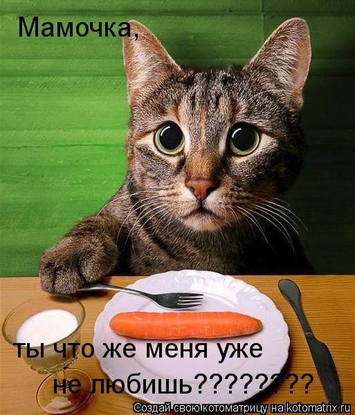 ты что же меня уже не любишь???????? Мамочка,... Котоматрица: ты что же меня уже не любишь???????? Мамочка,