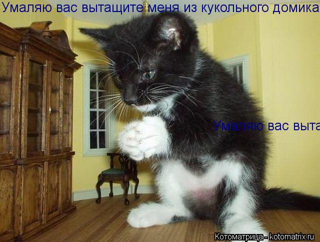 Умаляю вас вытащите меня из кукольного домика Умаляю вас вытащите меня из кукольного домика... Котоматрица: Умаляю вас вытащите меня из кукольного домика Умаляю вас вытащите меня из кукольного домика