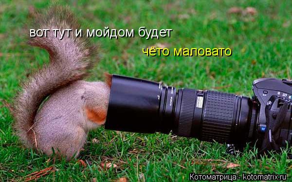 вот тут и мойдом будет чёто маловато чёто маловато... Котоматрица: вот тут и мойдом будет чёто маловато чёто маловато