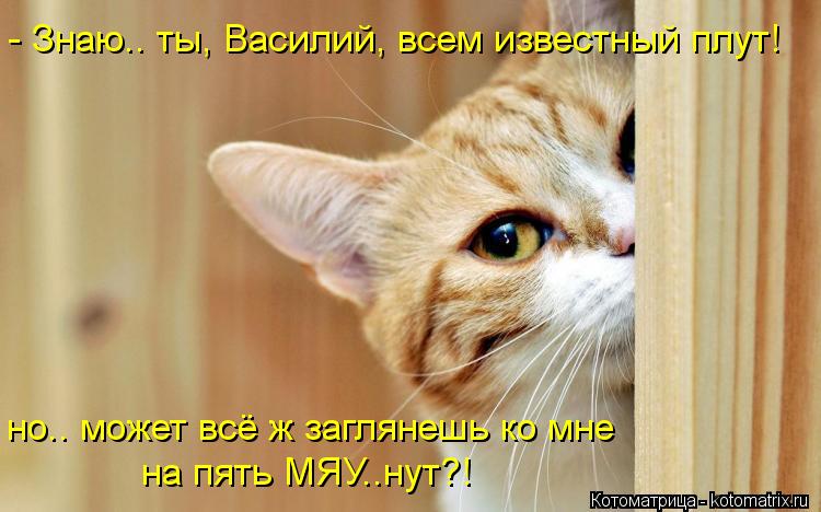 Котоматрица: - Знаю.. ты, Василий, всем известный плут! но.. может всё ж заглянешь ко мне на пять МЯУ..нут?!