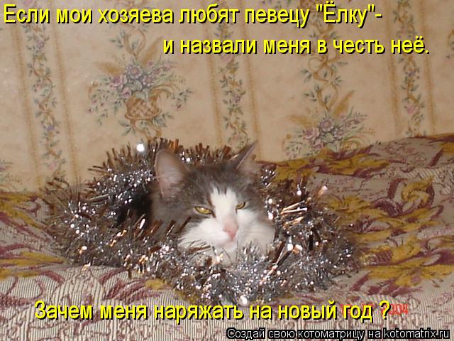Если мои хозяева любят певецу "Ёлку"- и назвали меня в честь неё. Зачем меня наряжать на новый год ?... Котоматрица: Если мои хозяева любят певецу "Ёлку"- и назвали меня в честь неё. Зачем меня наряжать на новый год ?