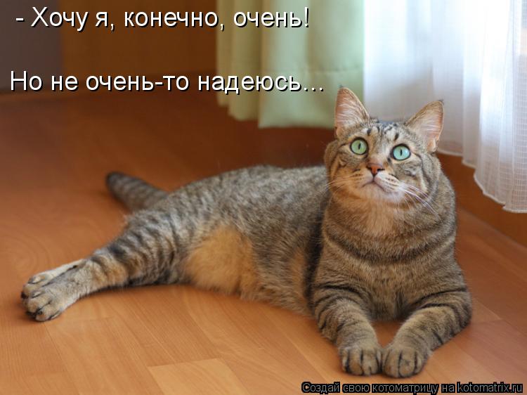 - Хочу я, конечно, очень! Но не очень-то надеюсь…... Котоматрица: - Хочу я, конечно, очень! Но не очень-то надеюсь…