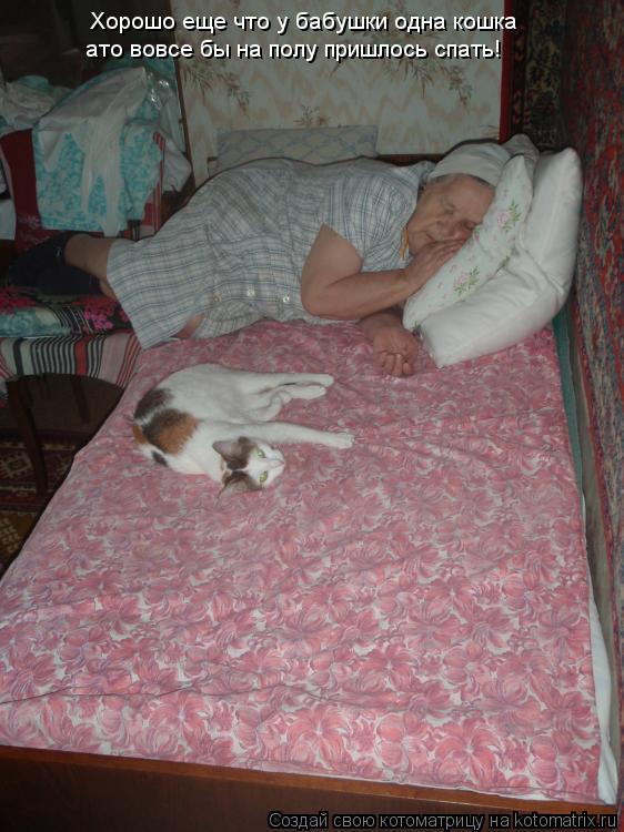 Хорошо еще что у бабушки одна кошка ато вовсе бы на полу пришлось спать!... Котоматрица: Хорошо еще что у бабушки одна кошка ато вовсе бы на полу пришлось спать!