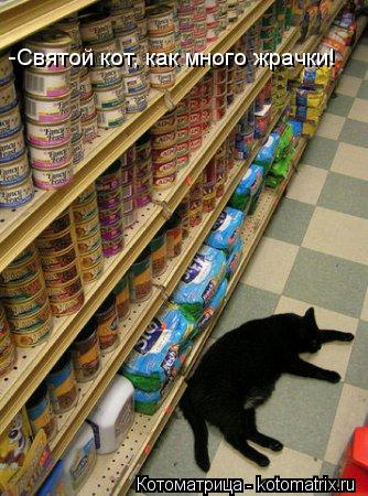 -Святой кот, как много жрачки!... Котоматрица: -Святой кот, как много жрачки!