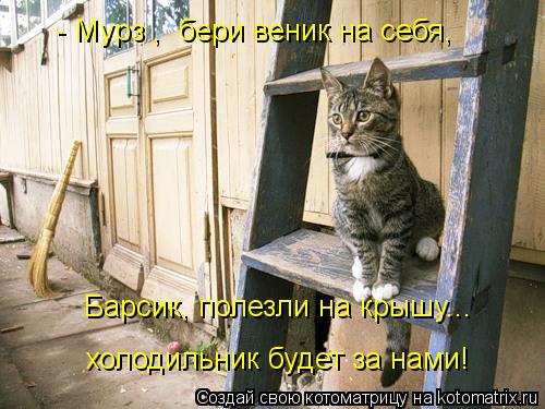 - Мурз , бери веник на себя, Барсик, полезли на крышу... холодильник будет за нами!... Котоматрица: - Мурз , бери веник на себя, Барсик, полезли на крышу... холодильник будет за нами!