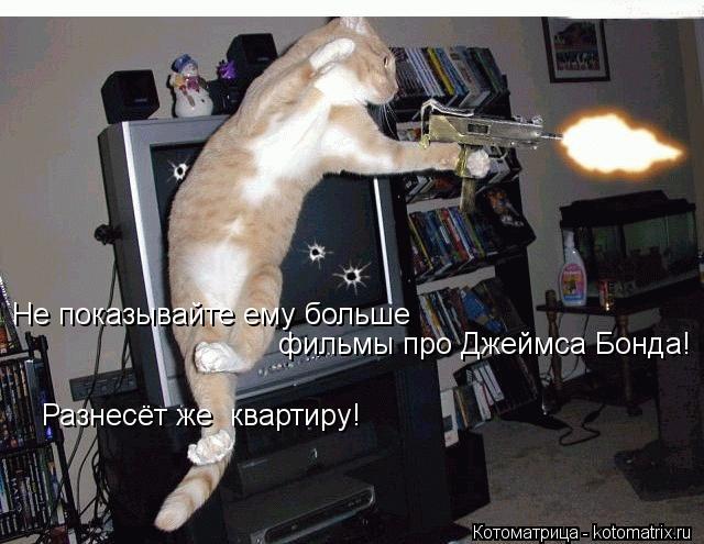 Не показывайте ему больше фильмы про Джеймса Бонда! Разнесёт же квартиру!... Котоматрица: Не показывайте ему больше фильмы про Джеймса Бонда! Разнесёт же квартиру!