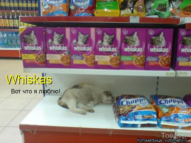 Whiskas Вот что я люблю!.... Котоматрица: Whiskas Вот что я люблю!.