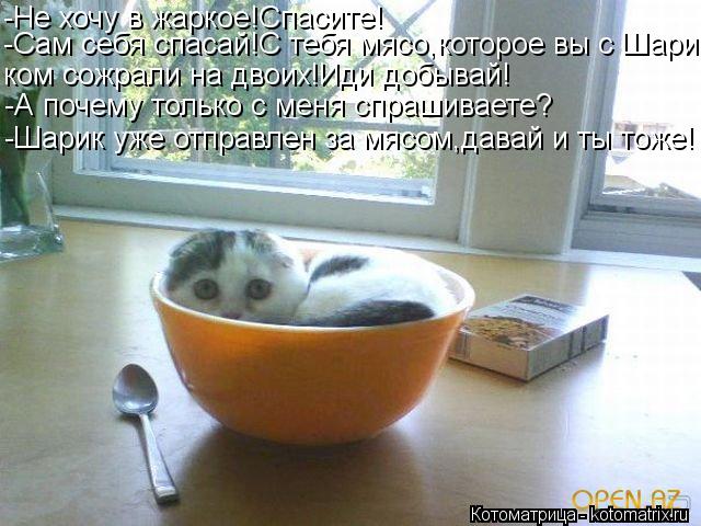 -Не хочу в жаркое!Спасите! -Сам себя спасай!С тебя мясо,которое вы с Шари ком сожрали на двоих!Иди до... Котоматрица: -Не хочу в жаркое!Спасите! -Сам себя спасай!С тебя мясо,которое вы с Шари ком сожрали на двоих!Иди добывай! -А почему только с меня спрашиваете