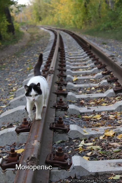 Монорельс... Котоматрица: Монорельс