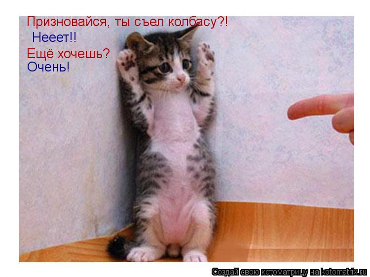 Призновайся, ты съел колбасу?! Нееет!! Ещё хочешь? Очень!... Котоматрица: Призновайся, ты съел колбасу?! Нееет!! Ещё хочешь? Очень!
