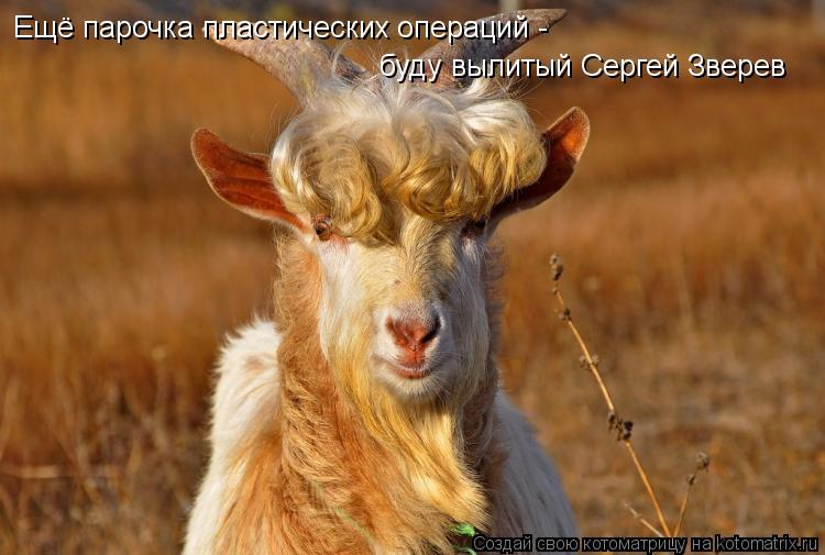 Ещё парочка пластических операций - буду вылитый Сергей Зверев... Котоматрица: Ещё парочка пластических операций - буду вылитый Сергей Зверев