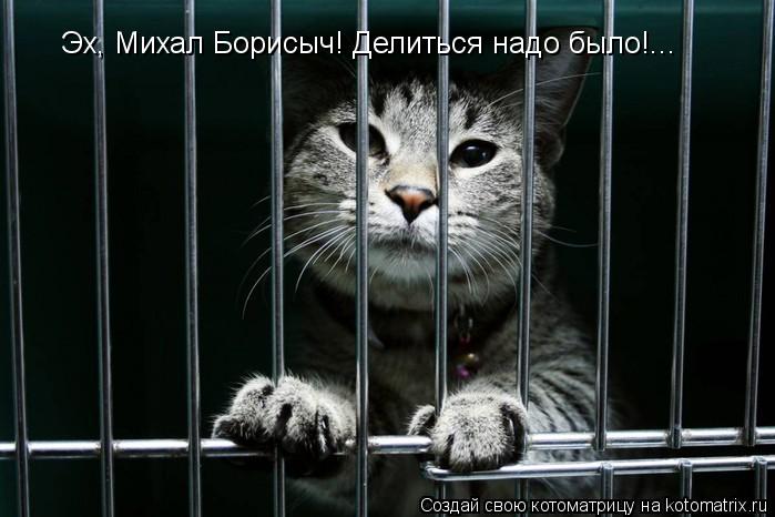 Эх, Михал Борисыч! Делиться надо было!...... Котоматрица: Эх, Михал Борисыч! Делиться надо было!...
