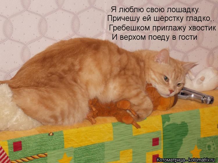 Я люблю свою лошадку. Причешу ей шёрстку гладко,. Гребешком приглажу хвостик И верхом поеду в гос... Котоматрица: Я люблю свою лошадку. Причешу ей шёрстку гладко,. Гребешком приглажу хвостик И верхом поеду в гости