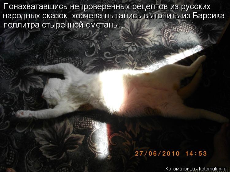 Понахватавшись непроверенных рецептов из русских народных сказок, хозяева пытались вытопить из Барси... Котоматрица: Понахватавшись непроверенных рецептов из русских народных сказок, хозяева пытались вытопить из Барсика поллитра стыренной сметаны...