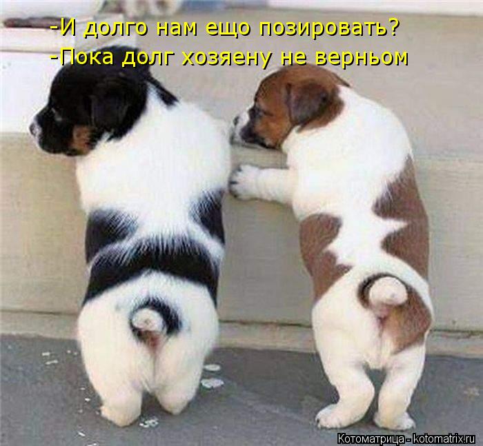 -И долго нам ещо позировать? -Пока долг хозяену не верньом... Котоматрица: -И долго нам ещо позировать? -Пока долг хозяену не верньом