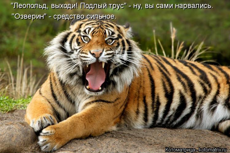 "Леопольд, выходи! Подлый трус" - ну, вы сами нарвались. "Озверин" - средство сильное.... Котоматрица: "Леопольд, выходи! Подлый трус" - ну, вы сами нарвались. "Озверин" - средство сильное.