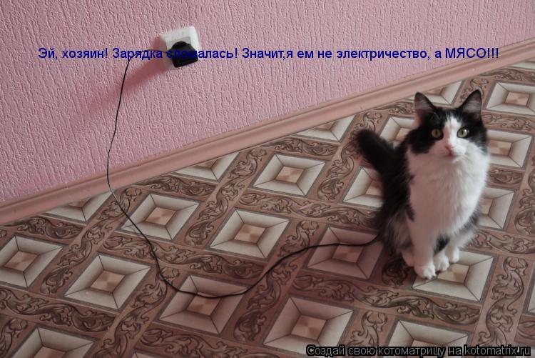 Эй, хозяин! Зарядка сломалась! Значит. я ем не электричество, а МЯСО!!! Эй, хозяин! Зарядка сломалась... Котоматрица: Эй, хозяин! Зарядка сломалась! Значит. я ем не электричество, а МЯСО!!! Эй, хозяин! Зарядка сломалась! Значит,я ем не электричество, а МЯСО!!!