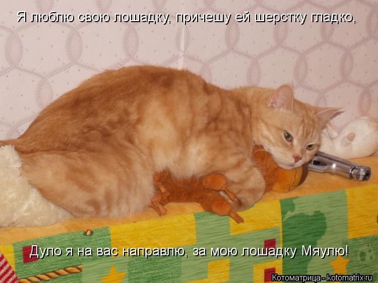 Я люблю свою лошадку, причешу ей шерстку гладко, Дуло я на вас направлю, за мою лошадку Мяулю!... Котоматрица: Я люблю свою лошадку, причешу ей шерстку гладко, Дуло я на вас направлю, за мою лошадку Мяулю!