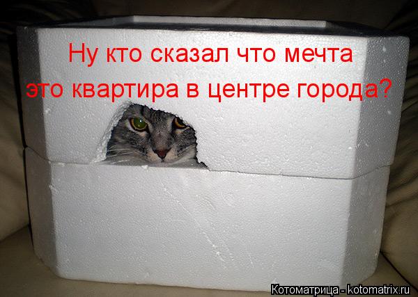 Ну кто сказал что мечта это квартира в центре города?... Котоматрица: Ну кто сказал что мечта это квартира в центре города?