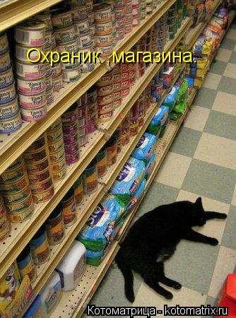 Охраник ,магазина.... Котоматрица: Охраник ,магазина.