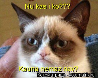 Nu kas i ko??? Kauna nemaz nav?... Котоматрица: Nu kas i ko??? Kauna nemaz nav?