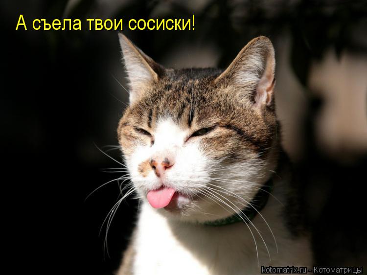 А съела твои сосиски!... Котоматрица: А съела твои сосиски!