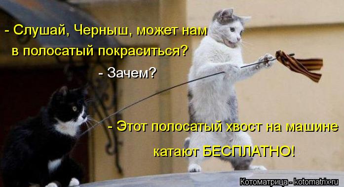 - Слушай, Черныш, может нам - Зачем? в полосатый покраситься? - Этот полосатый хвост на машине катают... Котоматрица: - Слушай, Черныш, может нам - Зачем? в полосатый покраситься? - Этот полосатый хвост на машине катают БЕСПЛАТНО!