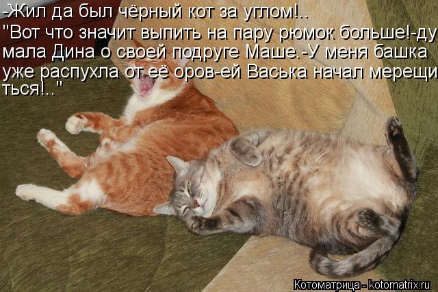 -Жил да был чёрный кот за углом!.. "Вот что значит выпить на пару рюмок больше!-ду- мала Дина о своей... Котоматрица: -Жил да был чёрный кот за углом!.. "Вот что значит выпить на пару рюмок больше!-ду- мала Дина о своей подруге Маше.-У меня башка уже распухла от