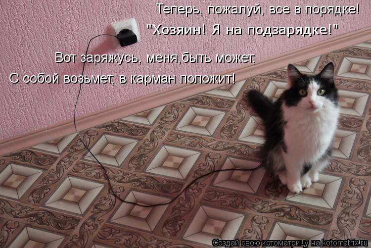 Вот заряжусь, меня,быть может, С собой возьмет, в карман положит! Теперь, пожалуй, все в порядке! "Хо... Котоматрица: Вот заряжусь, меня,быть может, С собой возьмет, в карман положит! Теперь, пожалуй, все в порядке! "Хозяин! Я на подзарядке!"