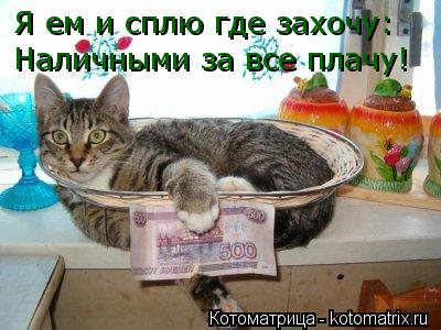 Я ем и сплю где захочу: Наличными за все плачу!... Котоматрица: Я ем и сплю где захочу: Наличными за все плачу!