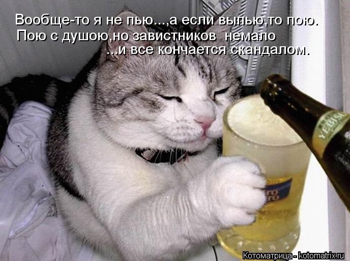 Вообще-то я не пью...,а если выпью,то пою. ...и все кончается скандалом. Пою с душою,но завистников ... Котоматрица: Вообще-то я не пью...,а если выпью,то пою. ...и все кончается скандалом. Пою с душою,но завистников немало