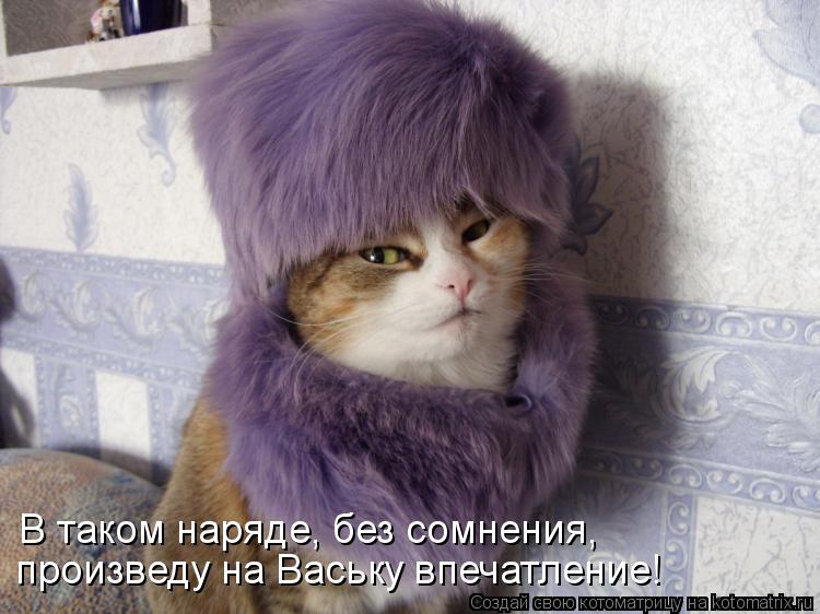 произведу на Ваську впечатление! В таком наряде, без сомнения,... Котоматрица: произведу на Ваську впечатление! В таком наряде, без сомнения,
