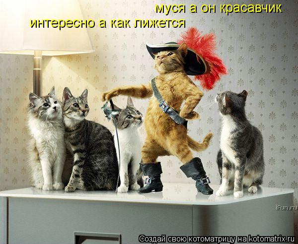 муся а он красавчик интересно а как лижется... Котоматрица: муся а он красавчик интересно а как лижется