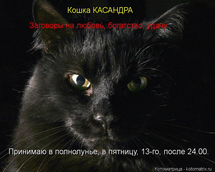 Кошка КАСАНДРА Заговоры на любовь, богатство, удачу Принимаю в полнолунье, в пятницу, 13-го, после 24... Котоматрица: Кошка КАСАНДРА Заговоры на любовь, богатство, удачу Принимаю в полнолунье, в пятницу, 13-го, после 24.00.