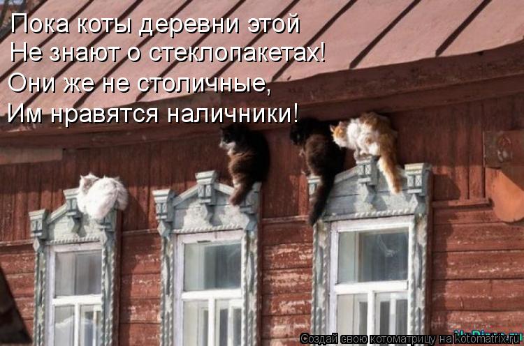 Котоматрица: Пока коты деревни этой Не знают о стеклопакетах! Они же не столичные, Им нравятся наличники!
