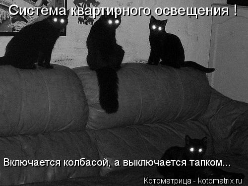 Система квартирного освещения ! Включается колбасой, а выключается тапком...... Котоматрица: Система квартирного освещения ! Включается колбасой, а выключается тапком...