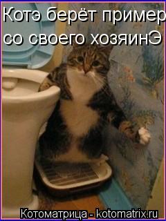 Котэ берёт пример со своего хозяинЭ... Котоматрица: Котэ берёт пример со своего хозяинЭ