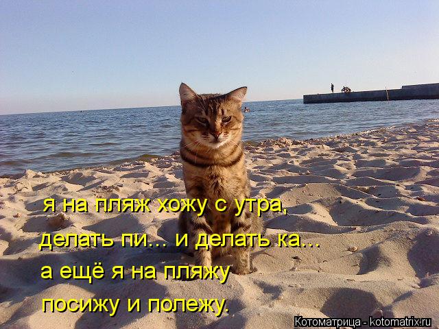 я на пляж хожу с утра, делать пи... и делать ка... а ещё я на пляжу посижу и полежу.... Котоматрица: я на пляж хожу с утра, делать пи... и делать ка... а ещё я на пляжу посижу и полежу.