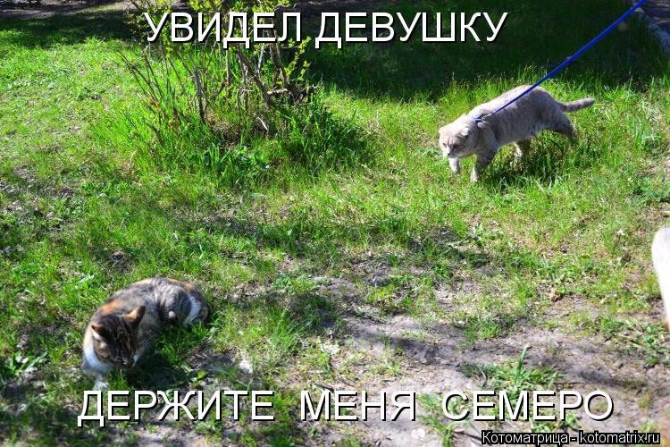 УВИДЕЛ ДЕВУШКУ ДЕРЖИТЕ МЕНЯ СЕМЕРО... Котоматрица: УВИДЕЛ ДЕВУШКУ ДЕРЖИТЕ МЕНЯ СЕМЕРО