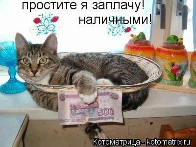 простите я заплачу! наличными!... Котоматрица: простите я заплачу! наличными!