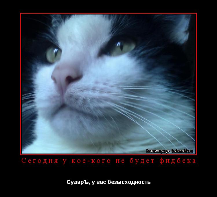 Сегодня у кое-кого не будет фидбека СударЪ, у вас безысходность... Котоматрица: Сегодня у кое-кого не будет фидбека СударЪ, у вас безысходность